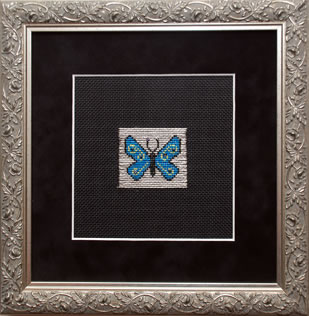 Blue Butterfly